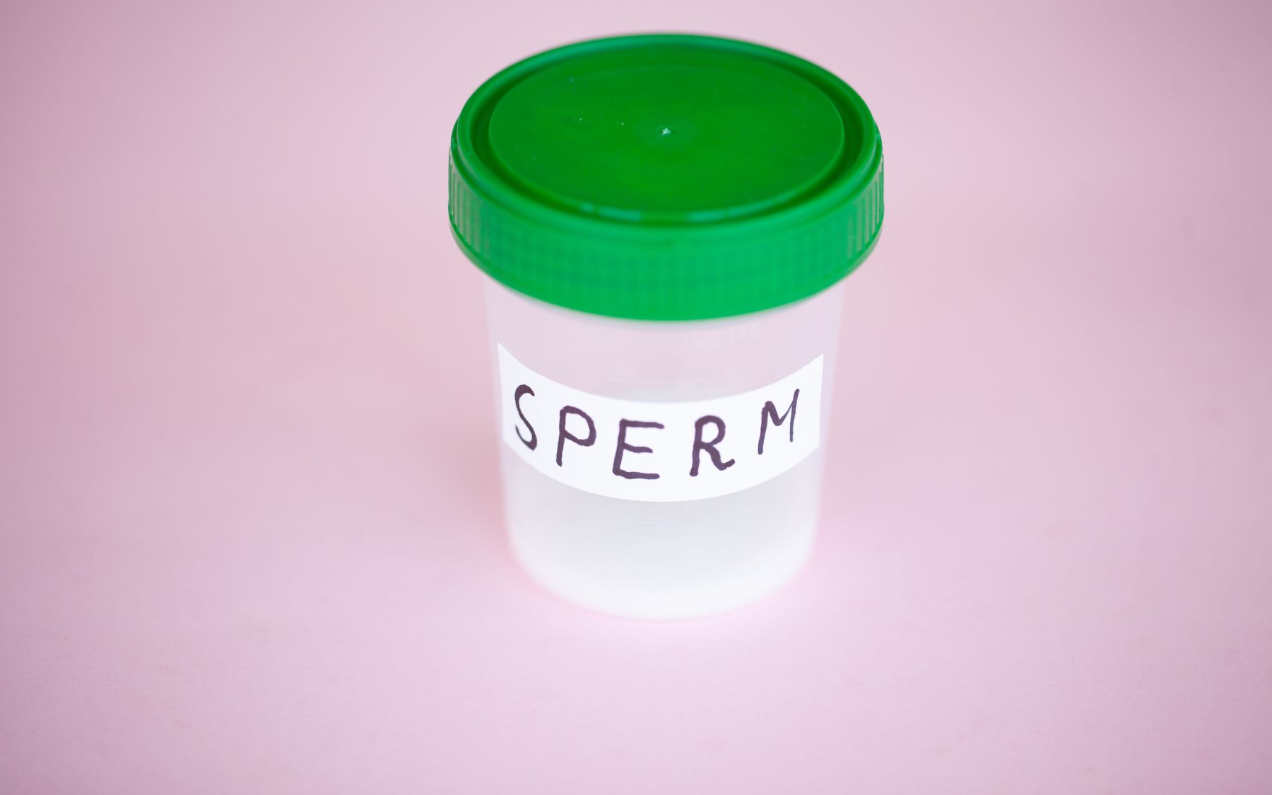 no sperm