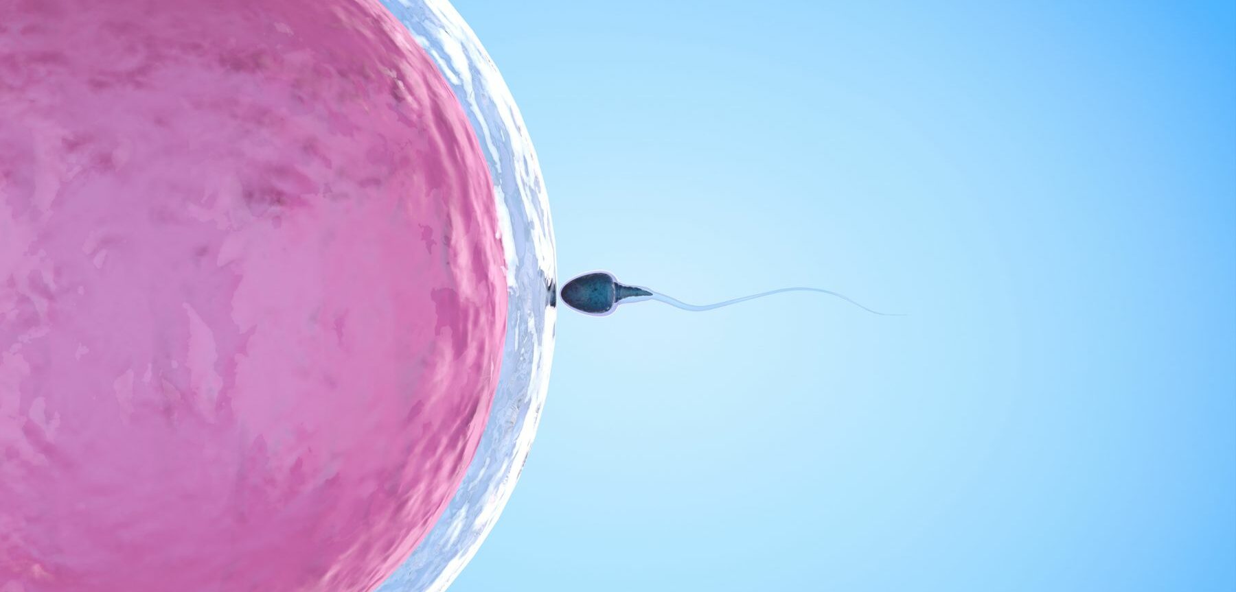 low sperm count