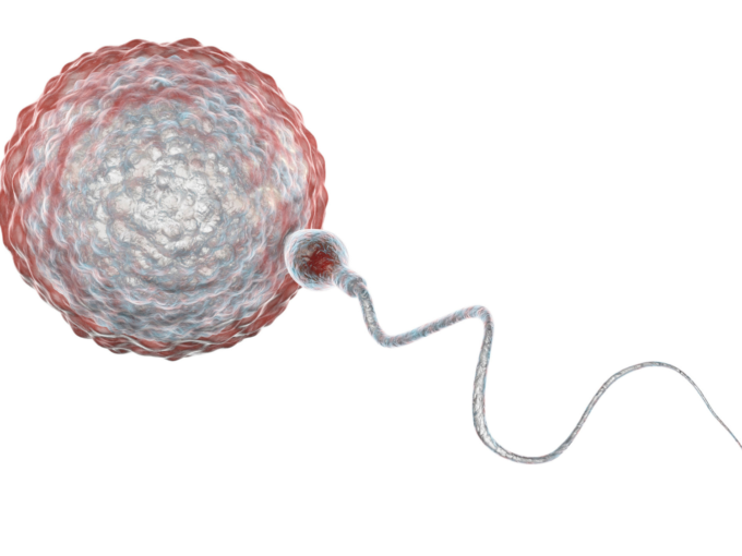 fertility treatment