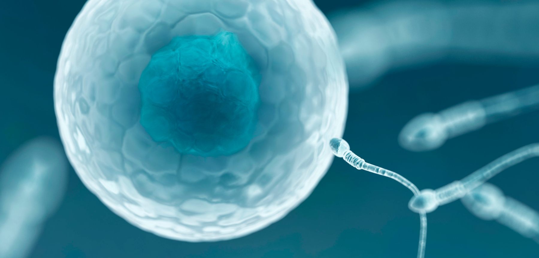 Micro Epididymal Sperm Aspiration Treatment